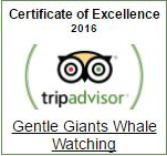 Gentle Giants is proud of all the awards that we have been awarded from TripAdvisor for the past years