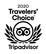 Gentle Giants is proud of all the awards that we have been awarded from TripAdvisor for the past years