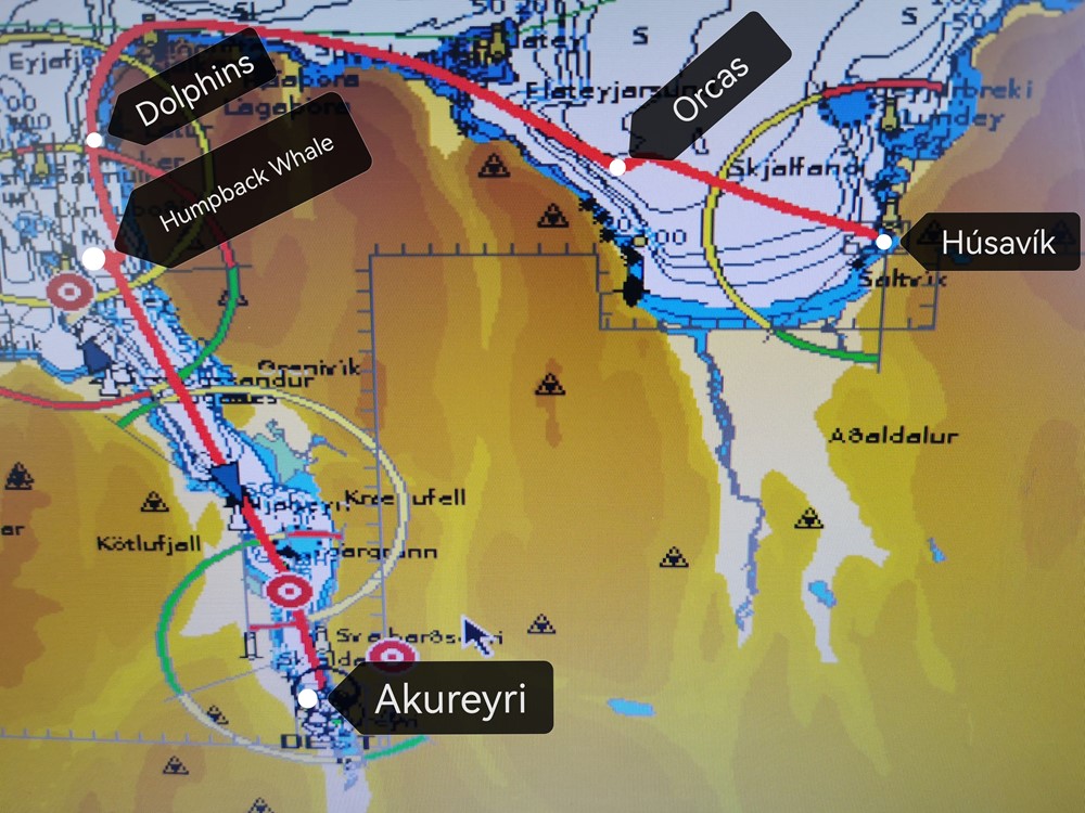 SA_Sylvía HUS-AKU_7.jpg