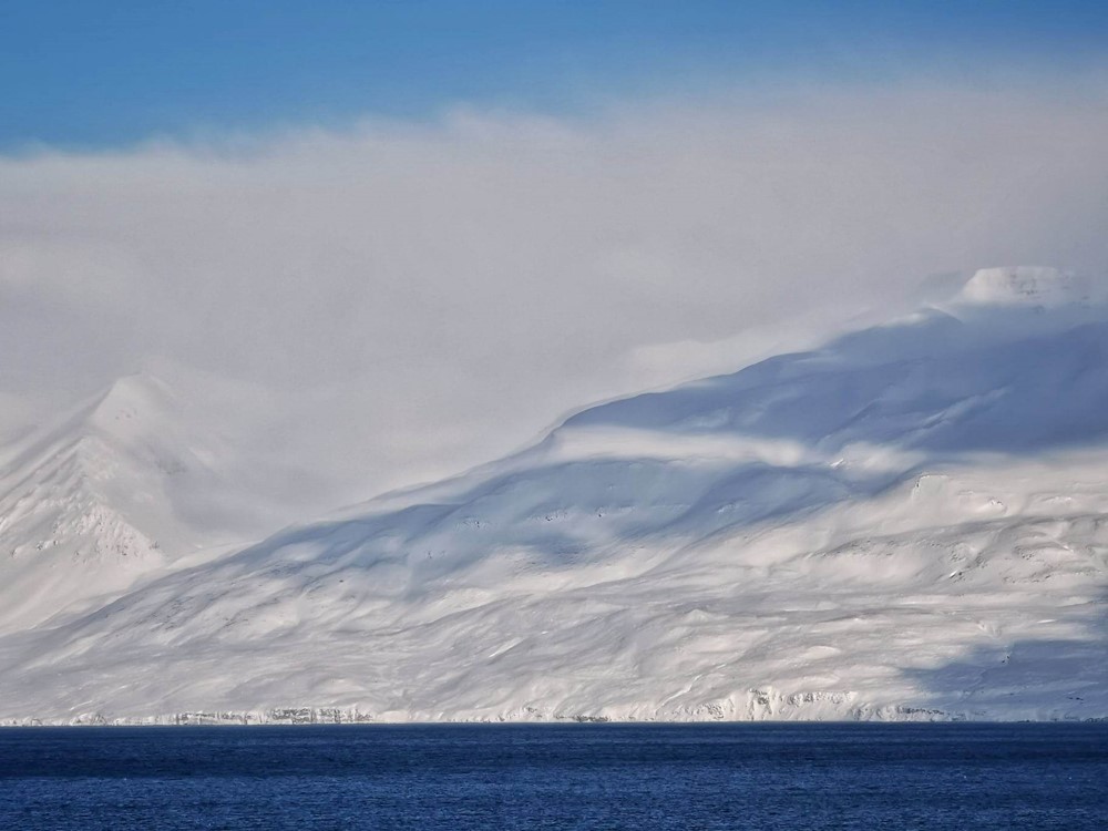 SA_Sylvia returning home8.jpg