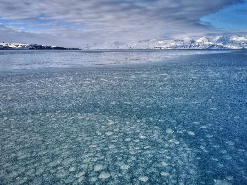 SA_Sylvia returning home7.jpg