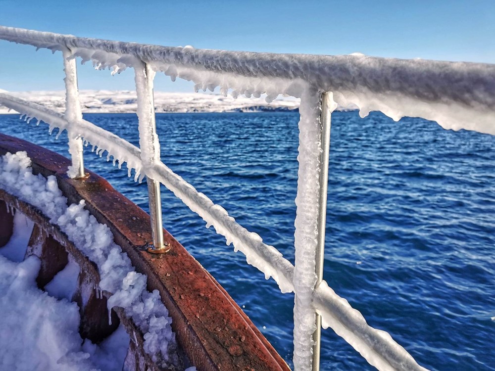 SA_Sylvia returning home1.jpg