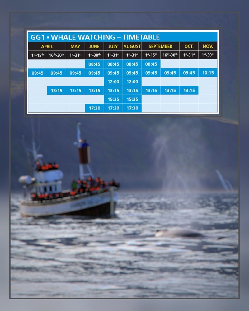 SA_timetable Oak.jpg