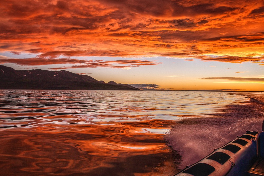 SA_summer solstice 2.jpeg