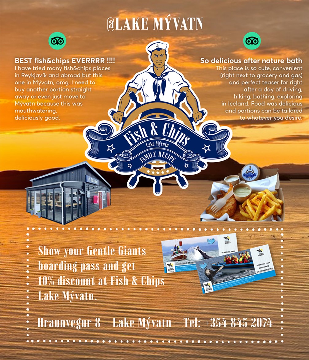 Fish and Chips Lake Mývatn - Discount for Gentle Giants