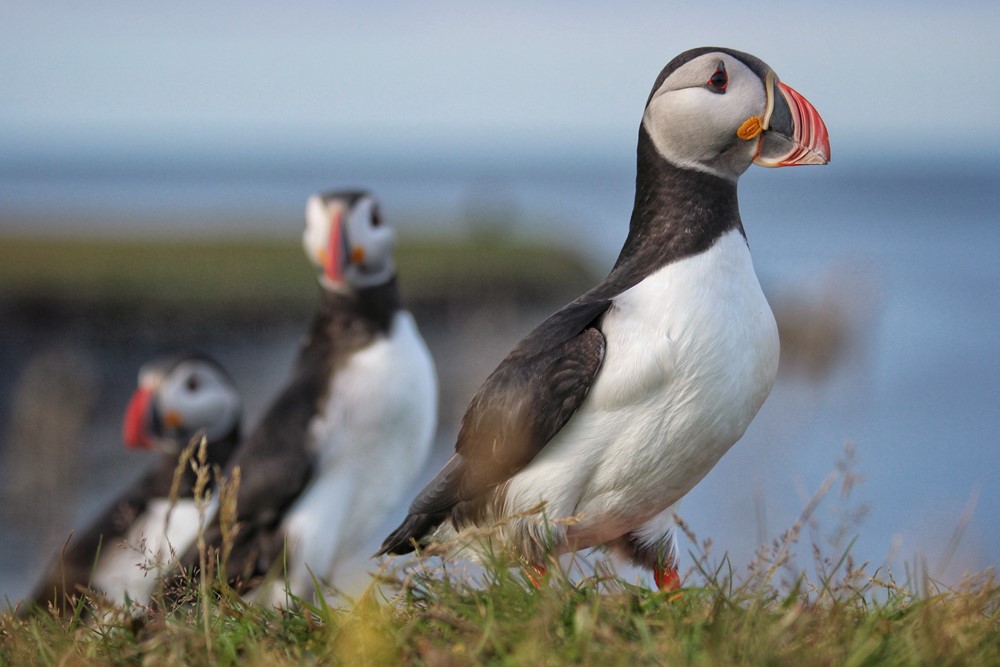 SA_July Review 3.jpeg