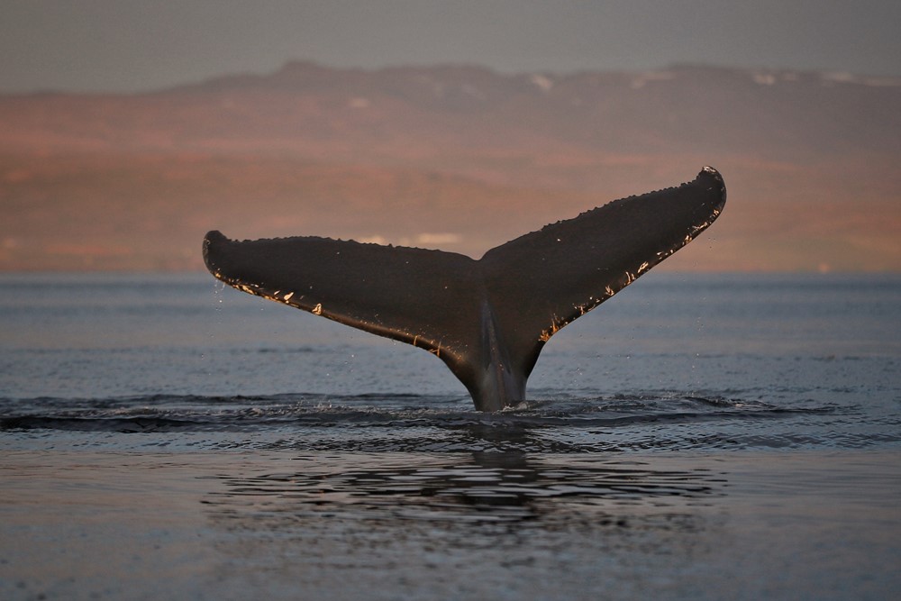 SA_July Review 2.jpeg