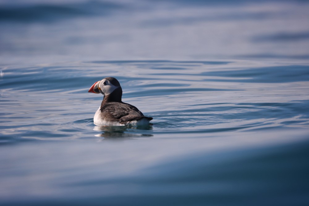 SA_they grow up so fast 1.jpeg