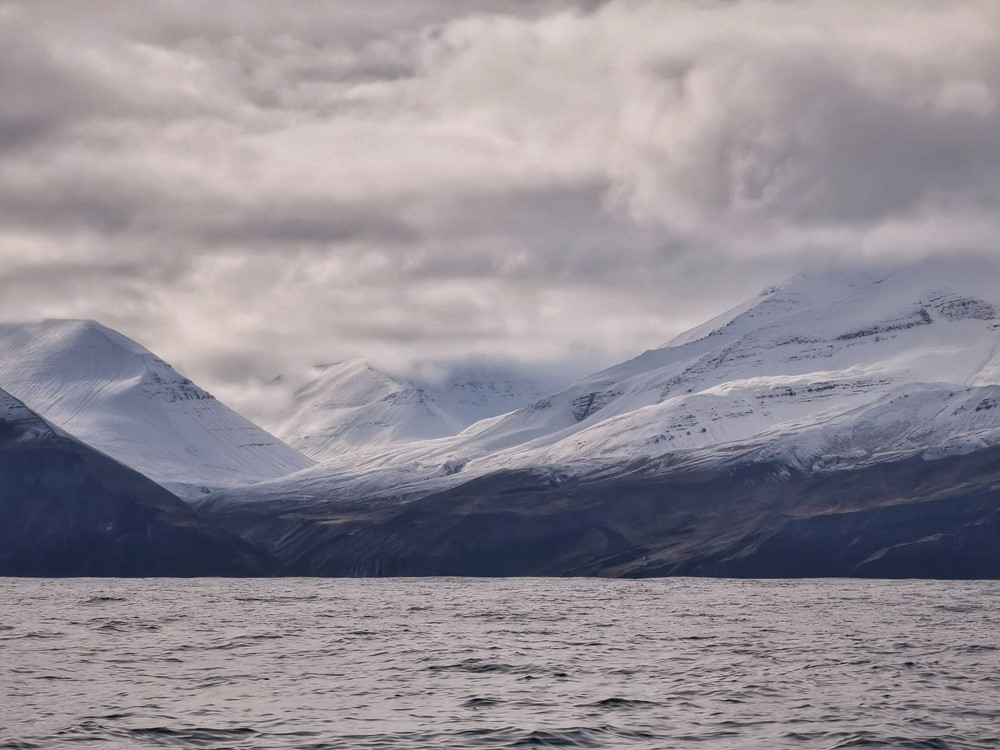 SA The Perfect Scene 2