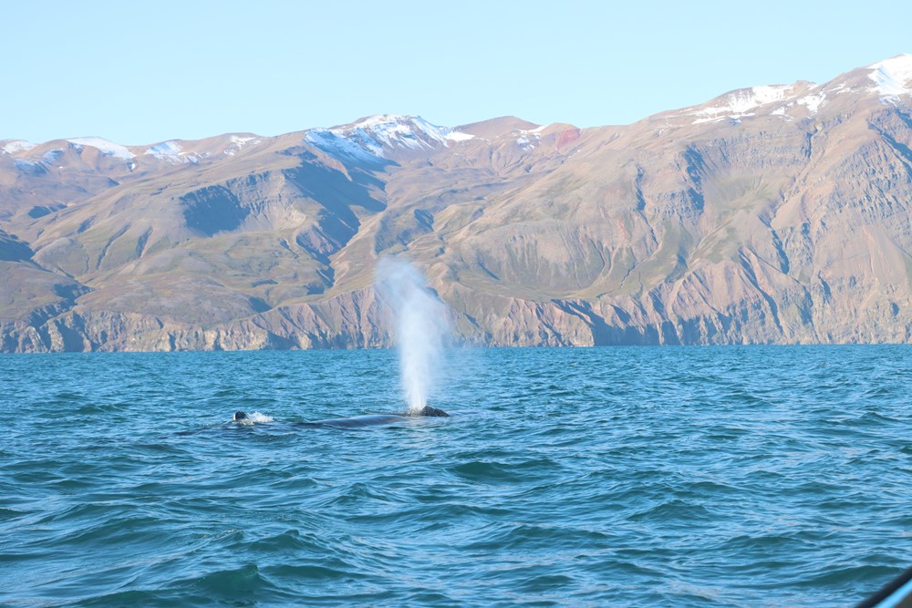 DA Magical September 7