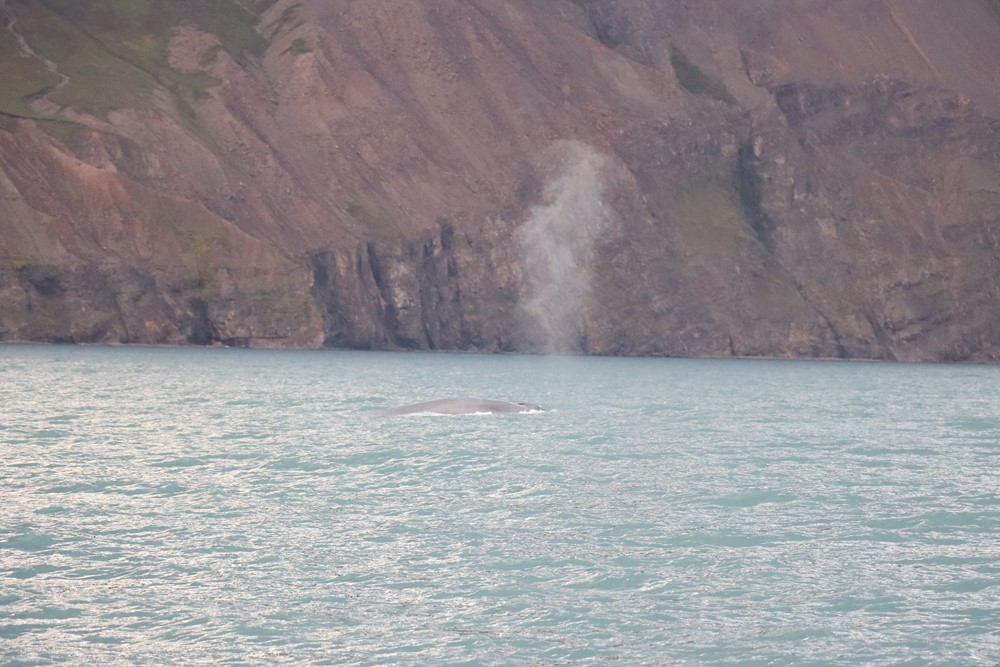 DA Magical September 1