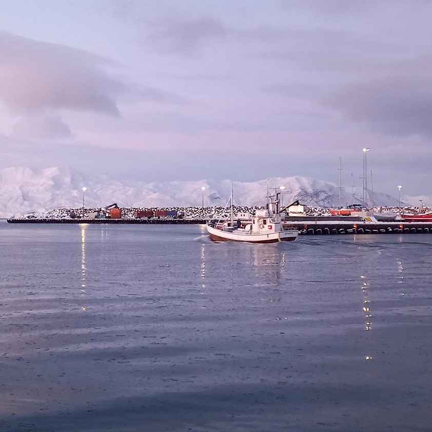 Whale watching oak boat Sylvia leaving Husavik harbour for maintenance journey