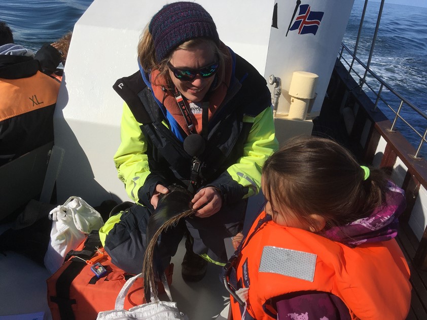 Whale watching Husavik learning about nature and wildlife Iceland