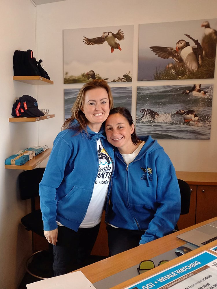 Gentle Giants Husavik Whale Watching Job Openings Iceland