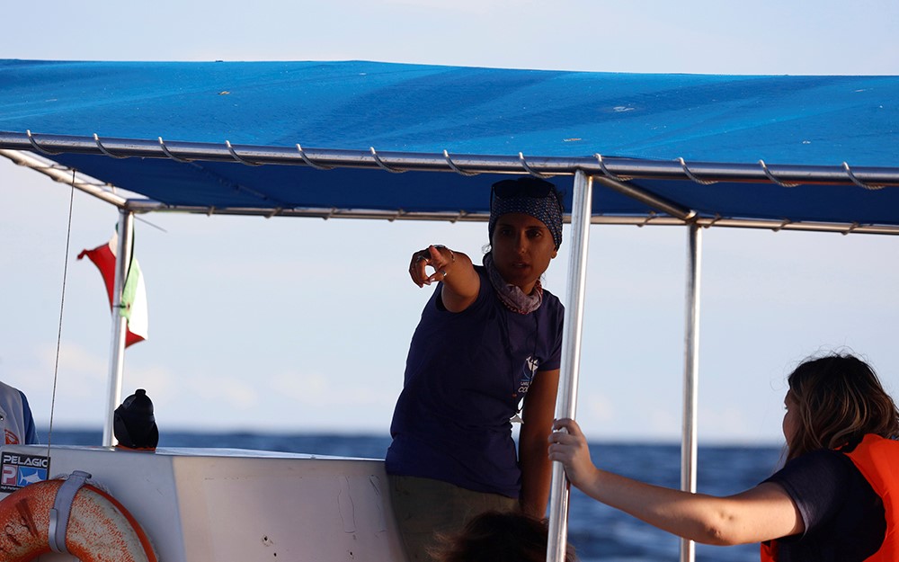 Gentle Giants passionate guides working whale watching all over the world, from Husavik Iceland