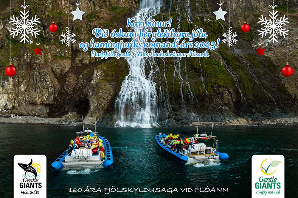 Jólakveðja Gentle Giants á Húsavík