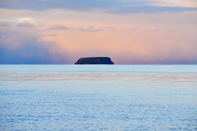 Lundey in beautiful light