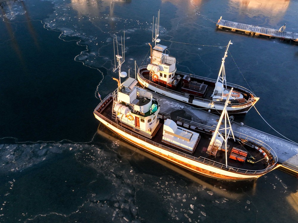 Whale watching fleet with ice in the harbour, Husavik Iceland