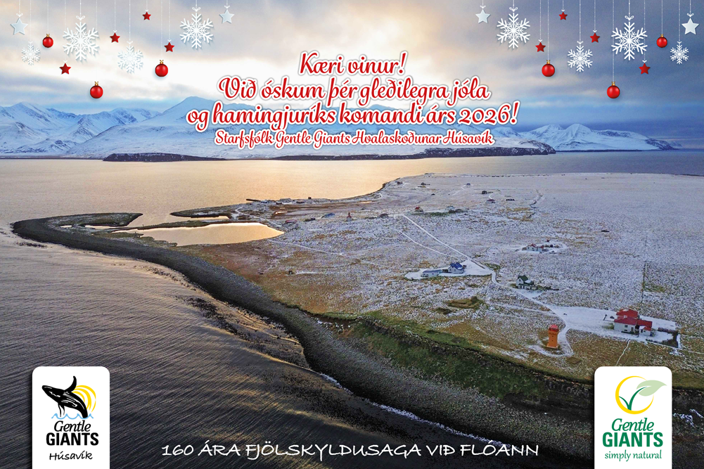 Jólakveðja frá Gentle Giants Hvalaferðum á Húsavík