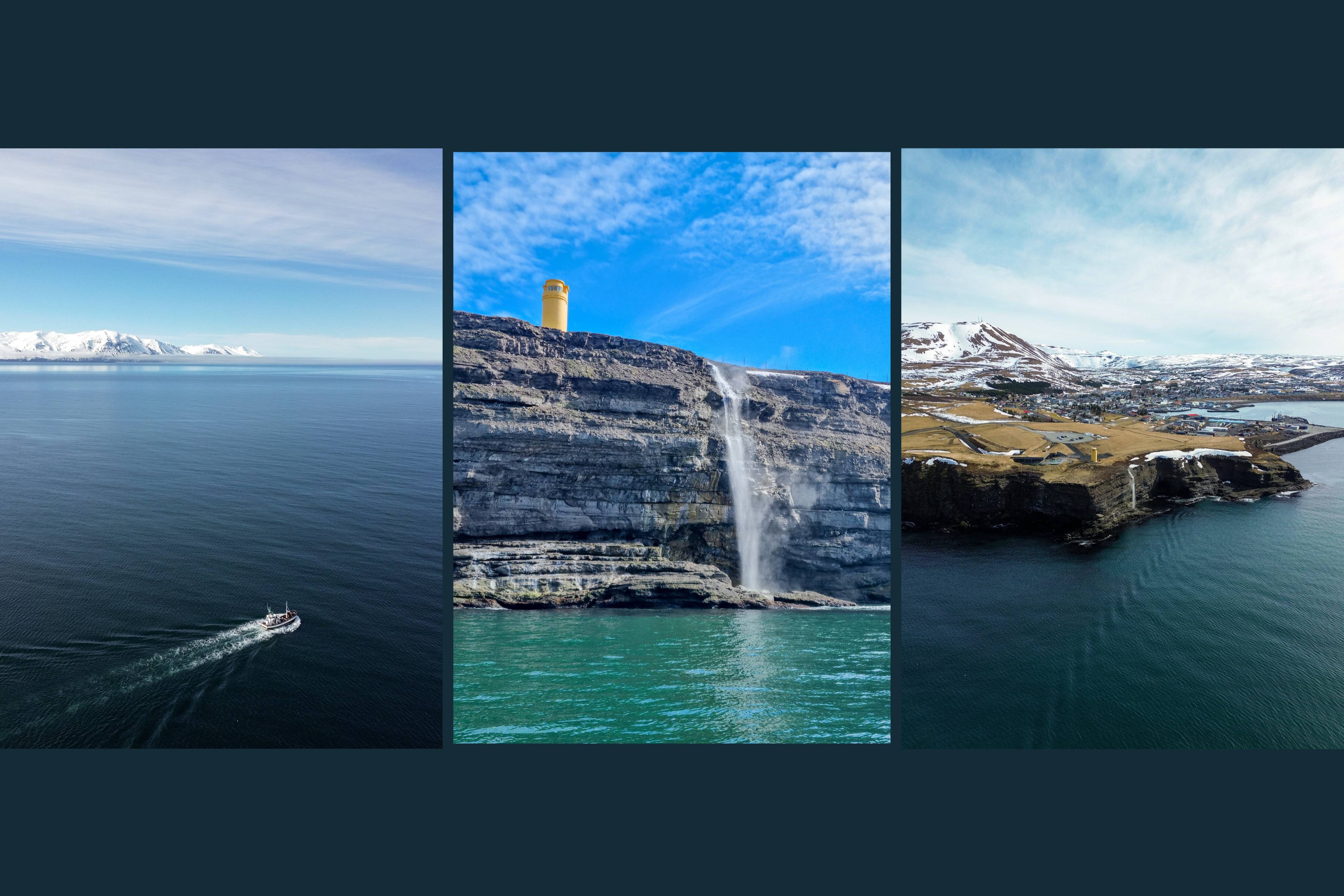 SPRING VIBES BRING ALONG THREE HUMPBACK WHALES | Gentle Giants Whale ...