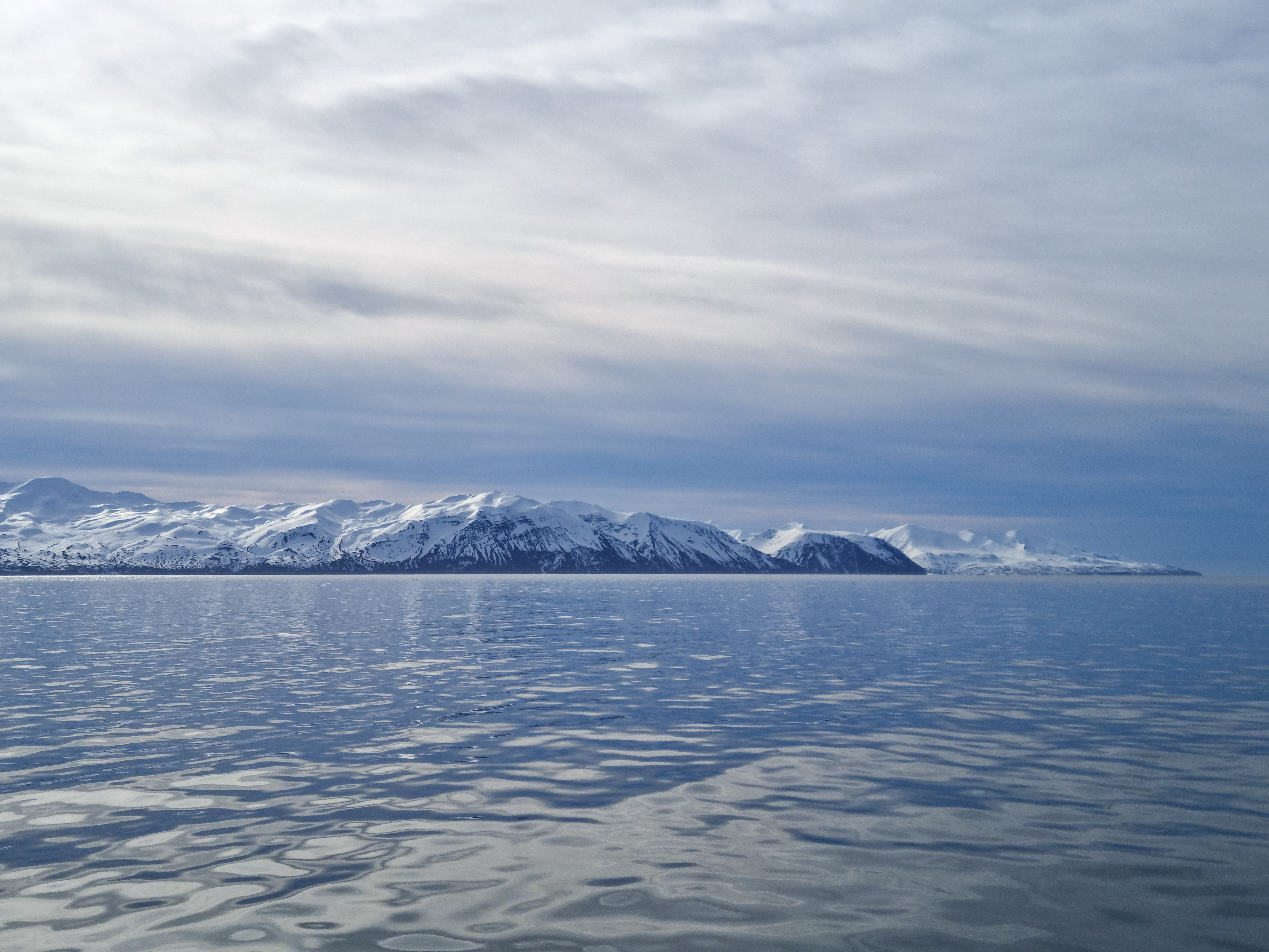 THE OCEAN'S GREAT GIANTS | Gentle Giants Whale Watching Husavik Iceland