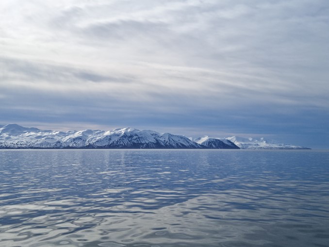 views of Skjálfandi Bay