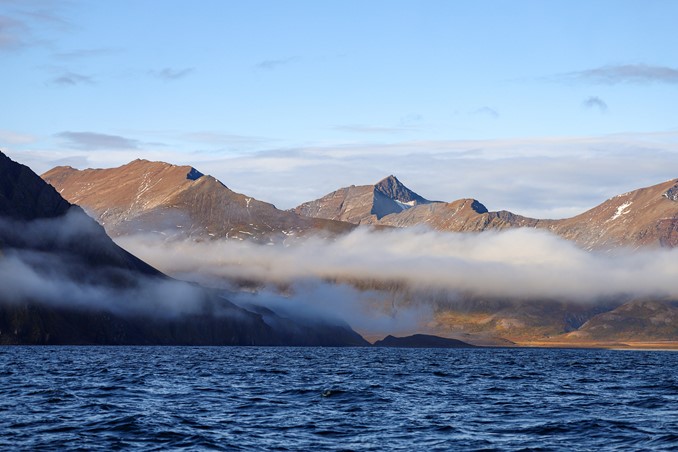 Cheek Mountains