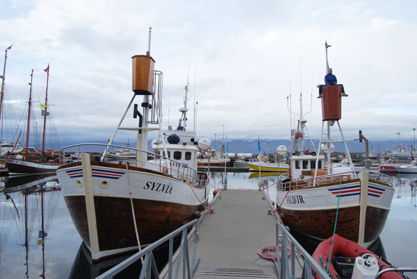 Both oak in harbour