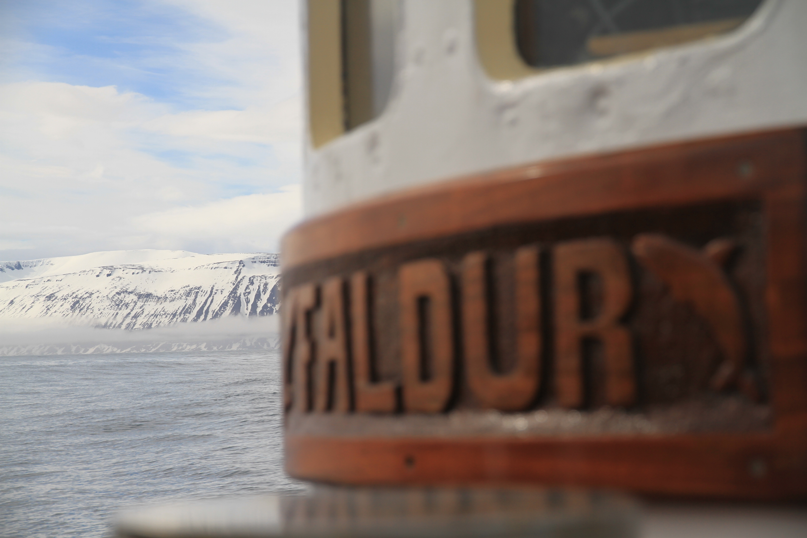 SA_Faldur
