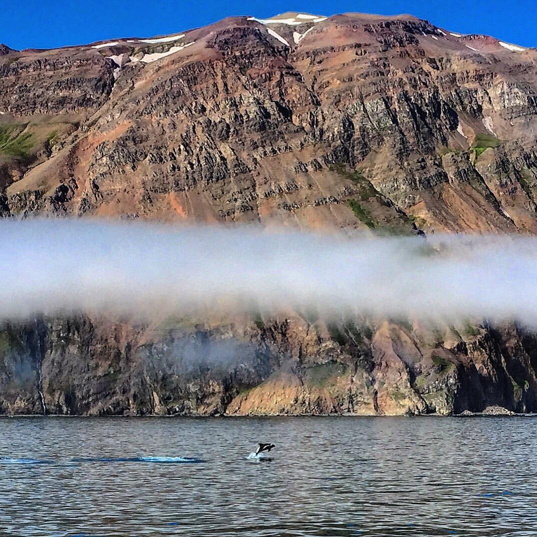 Aksel_dolphin jump with mountain