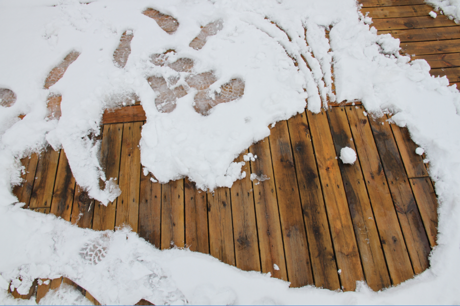 Snow-Whale