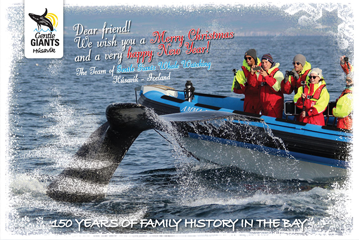 Happy holidays