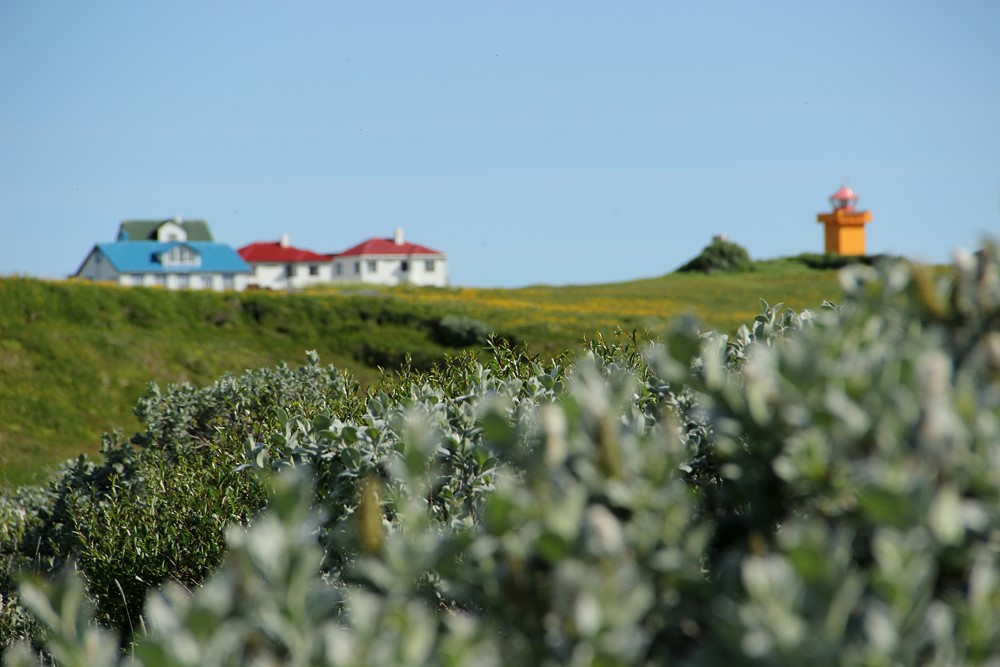 Flatey Island houses