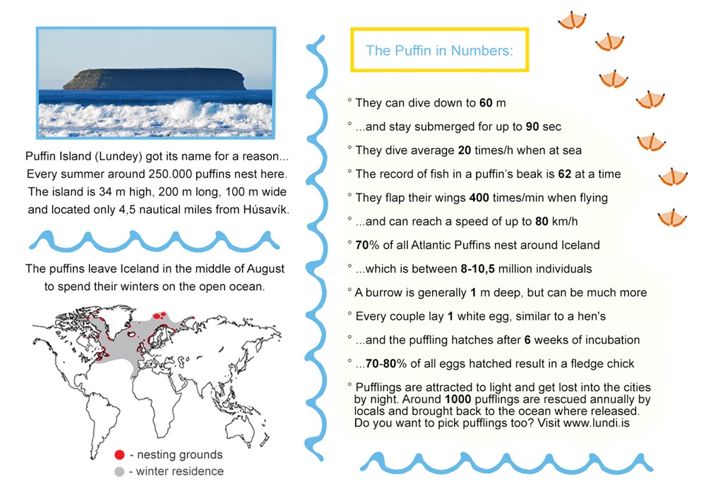 Puffin information