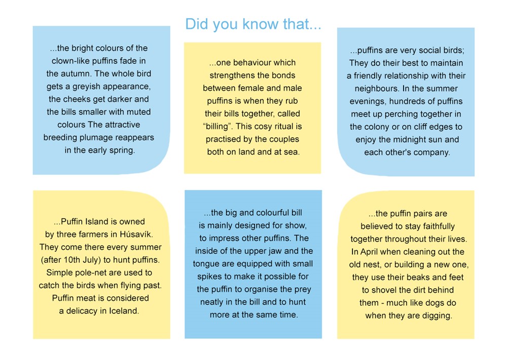 Puffin information