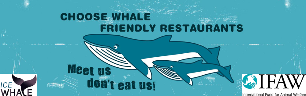 Gentle Giants supports the campaign Meet us don't eat us