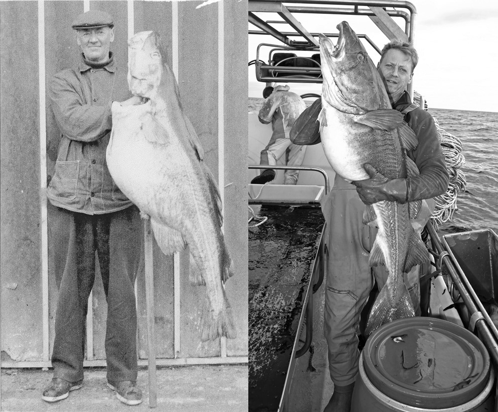 Family History in Skjálfandi Bay
