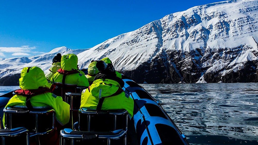 RIB whale watching in May