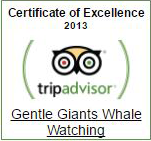 Gentle Giants TripAdvisor Certificate of Excellence