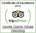 Gentle Giants TripAdvisor Certificate of Excellence