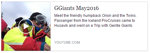 SA_screenshot video.PNG