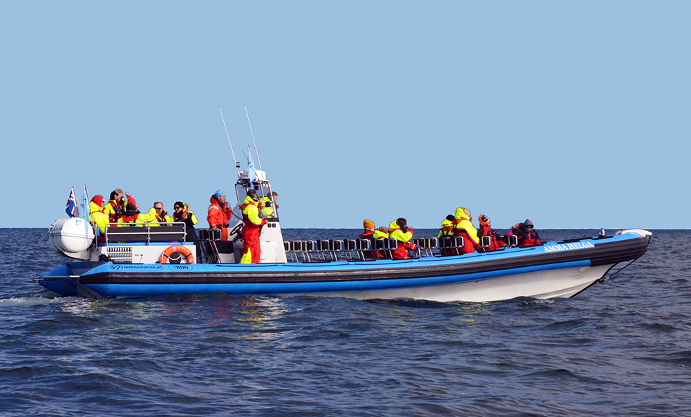 Húsavík Whale Watching Boat - Amma Helga