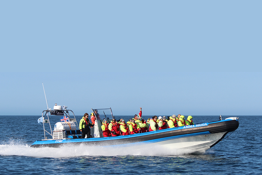 Húsavík Whale Watching Boat - Amma Sigga