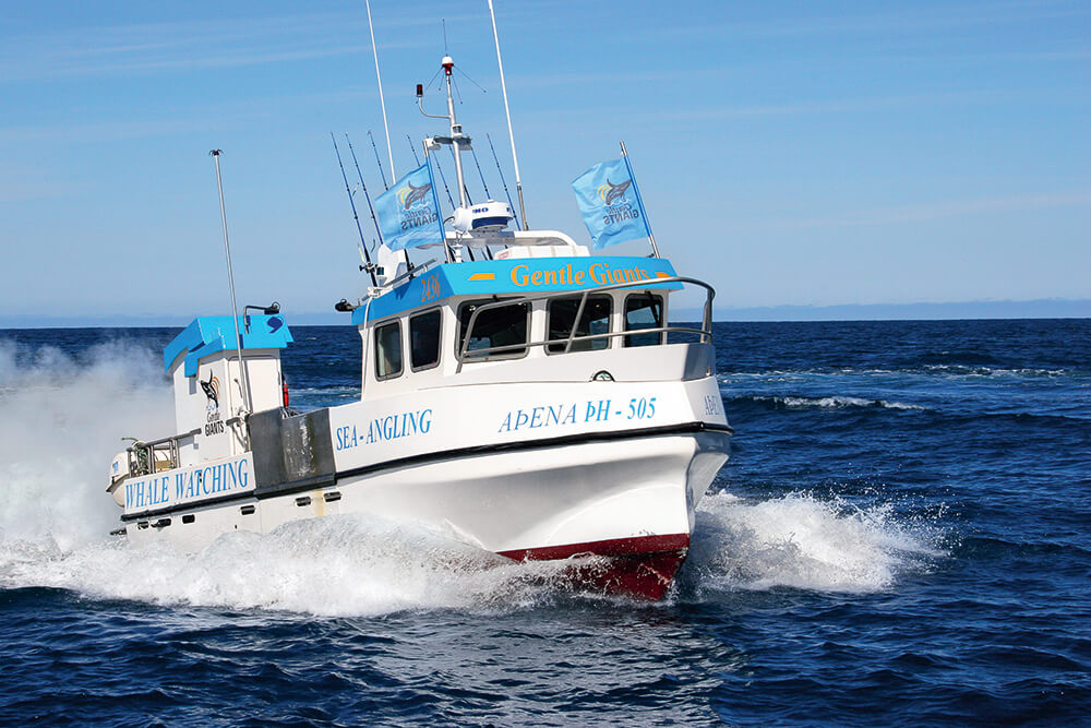 Húsavík Whale Watching Boat - Athena