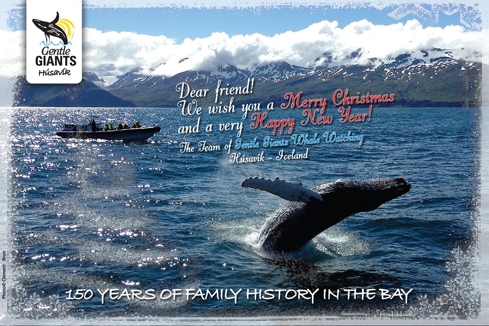 Happy holidays Húsavík, Iceland