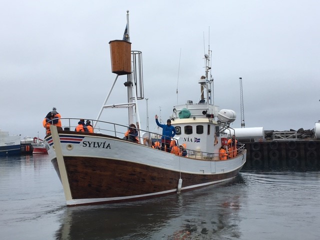 Season start whale watching Húsavík