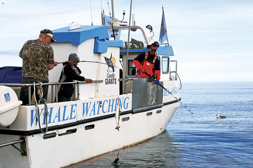 Athena Sea Angling Húsavík Iceland Fishing