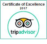 Gentle Giants TripAdvisor Certificate of Excellence