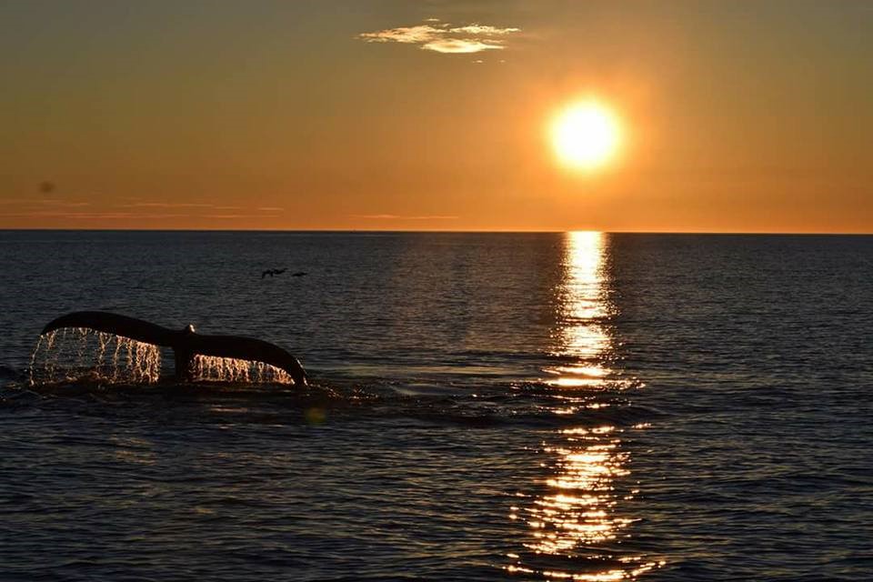 KRD_midnight tour 1.jpg