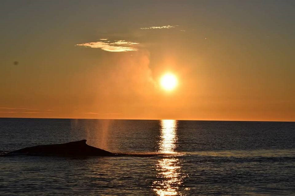 KRD_midnight tour 2.jpg